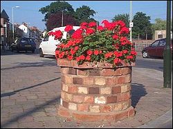  planter and flowers in Quorn Cross 