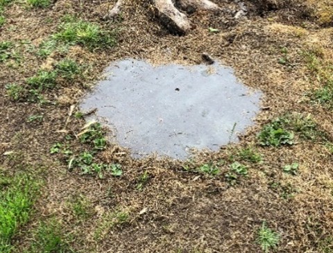  Swithland Slate Clock Face 