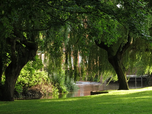  Stafford Orchard - Quorn, Leicestershire 