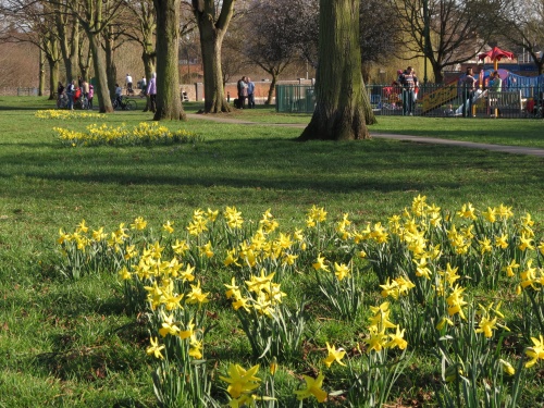  Stafford Orchard - Quorn, Leicestershire 